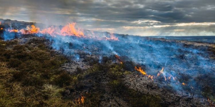 Moorland burning and impact on air pollution